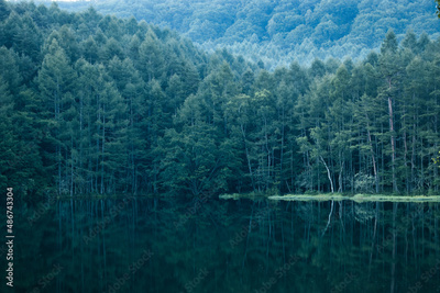 image to crop