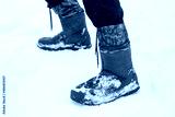 preview cold