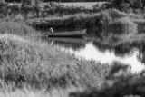 preview bw