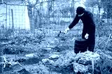preview cold