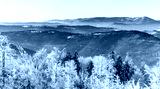 preview cold