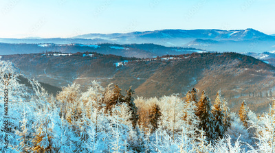 image to crop