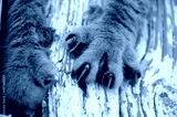 preview cold