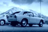 preview cold