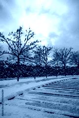 preview cold
