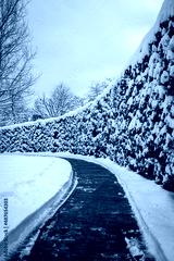 preview cold