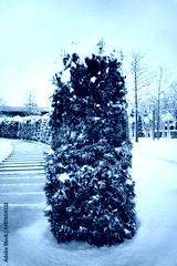 preview cold