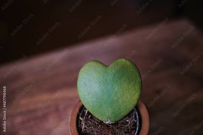 image to crop