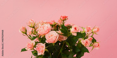 image to crop