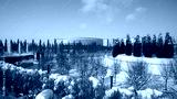 preview cold