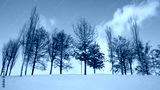 preview cold