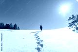 preview cold