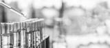 preview bw