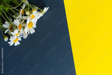 preview original