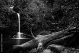 preview bw