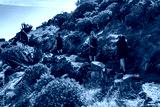 preview cold