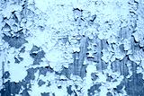 preview cold