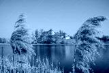 preview cold