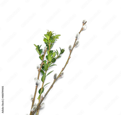 image to crop