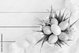 preview bw