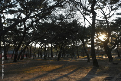 image to crop