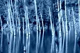 preview cold