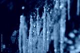 preview cold