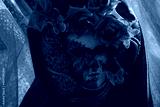 preview cold