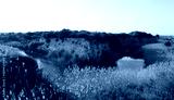 preview cold