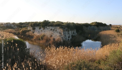image to crop