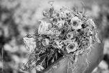 preview bw