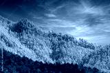 preview cold