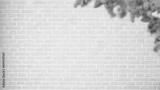preview bw