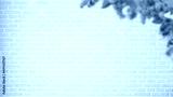 preview cold