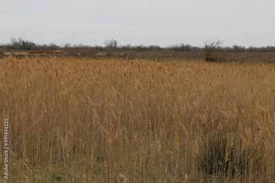 image to crop