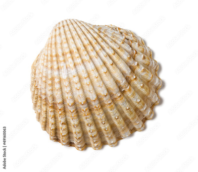 image to crop