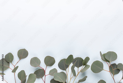 image to crop