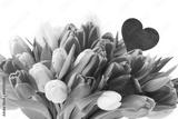 preview bw