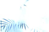 preview cold