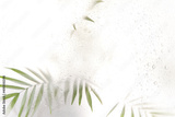 preview original