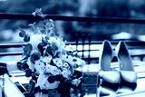 preview cold
