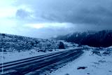 preview cold