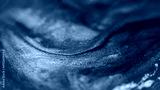 preview cold