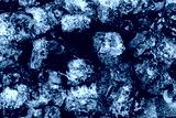 preview cold