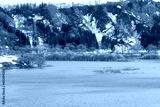 preview cold