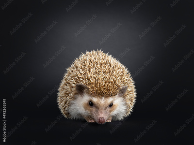 image to crop
