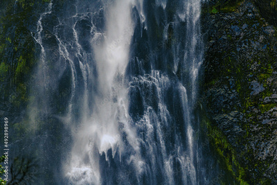 image to crop