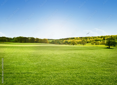 image to crop
