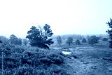 preview cold