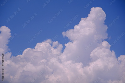 image to crop